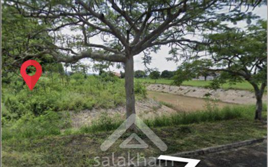 Beautiful land for sale at Phoenix Gold Golf and Country Club⛳️🏌️‍♂️