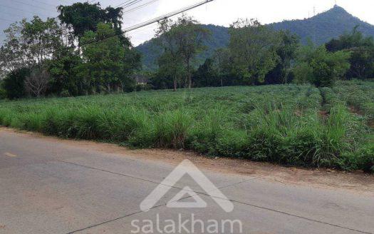 Land for Sale in Bangpra Sriracha Area, Chonburi Province