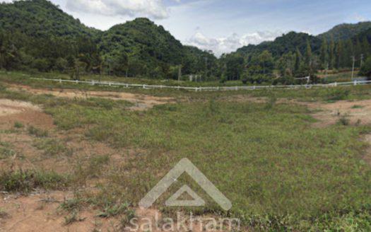 Land for sale in Khao Wong Village, Pak Chong District.