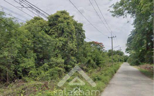 Land for Sale in Ban Pa Subdistrict, Kaeng Khoi District, Saraburi, Province