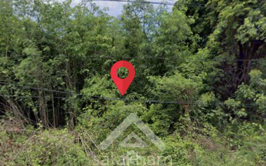Land for Sale in Ban Pa Subdistrict, Kaeng Khoi District, Saraburi, Province