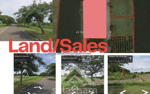 Land for Sale at Phoenix Gold Golf and Country Club