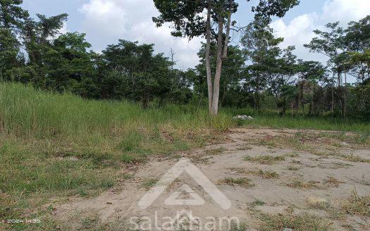 ขายที่ดินสวยในนาจอมเทียน, อำเภอสัตหีบ, จังหวัดชลบุรี