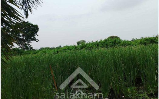 Land for sale in an industrial zone